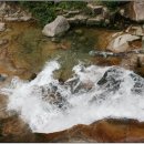 동두천-046 Daum카페