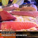 참별난참치 이미지