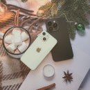 KT이천지점(32950) | 이천 휴대폰성지 아이폰17 공짜폰 싸게 사는 방법