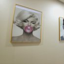 보라뷰티 이미지