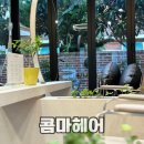 구암동443 | 창원 프리미엄 뷰티 살롱 콤마헤어, 마산 구암동 미용실 헤드스파와 헤어컷 후기