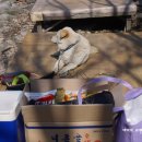 소양민박 이미지