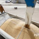 미중농장 이미지