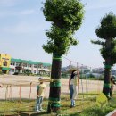 입장초등학교 병설유치원 이미지