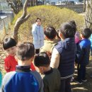 서룡초등학교(병설) 이미지