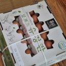 퓨란 | 유정란 부화 실패 후기: 부화율 0%의 충격과 세균오염까지