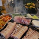 달동돼지달돈