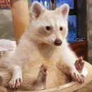 멍이와쿤이 이미지