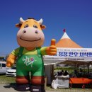 씨름홍보 인형극 이미지