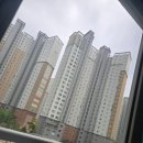 운남동 1666 주변 녹지 | 인천 가정동 호반베르디움 30메시 미세 방충망 교체