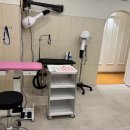 사하구애견미용 맘바이 강아지 미용실 | 일산애견미용 맘바이 강아지미용실 일산강아지미용 후기