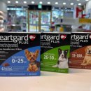 열린365약국 이미지