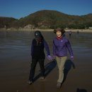 초원1 태양광발전소 이미지