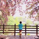 오마이뉴스 - 박상지님의 글이 게재되었어요. 이미지