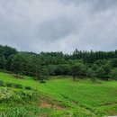 농막목장 이미지