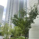 모과나무공방