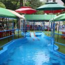 숲속에 바다 이미지