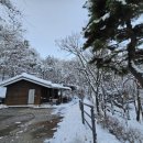 수레의산자연휴양림 네이버블로그