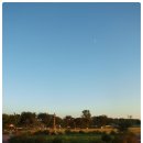 오수추어탕 이미지