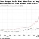 플레이션 이미지