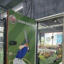 용인 군베이스볼 야구 레슨 체험 후기