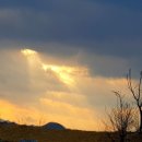 유교경전:맹자 이미지