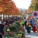 갈대정원 이미지