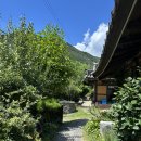 담장예쁜집 | 양산 오리백숙 한옥감성 가득한 “담장너머“