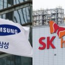 피크닉스 네이버블로그