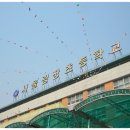 서울광장초등학교 이미지