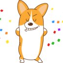 정관장 현대판교점