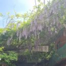 보성꽃식물원 이미지