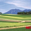 (주)플러스메드 이미지