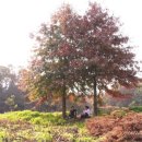 가원펜션 이미지