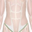 루트휘트니스 이미지