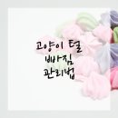 같은마음 동물병원 이미지