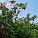 숲길정원