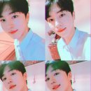 키노 이미지