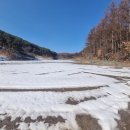 웰리힐리파크 관광단지 이미지