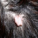 메어리벳의원 이미지