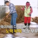 요거트가족 - 관악구 신림로36길 15 | 요거트가족