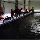 용인실내바다낚시터 이미지