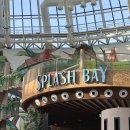 도듬 | 인스파이어 수영장 스플래시베이 35개월 아이랑 이용후기 준비물