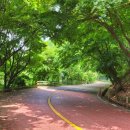 상천테마공원(주차장) 이미지