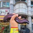 감골로 | 안산 본오동 장어 맛집 벌떡장어 민물장어 1kg 후기