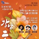 강남구 하루 서울시티