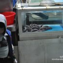 등용 짚불곰장어 이미지