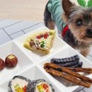 테리네간식 이미지