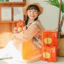 과일다움 - 3317 | 과일다움