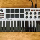 BI.A.BANG37 이미지